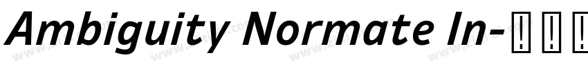 Ambiguity Normate In字体转换